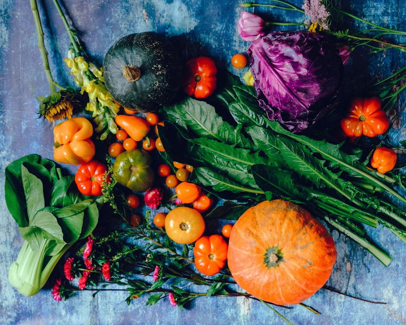 Chronic Illness Healing